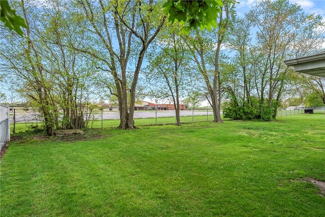 111 W 7th St, Pana, IL 62557 - view of yard