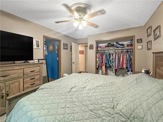 201 W Washington St, Toledo, IL 62468 - photo 10