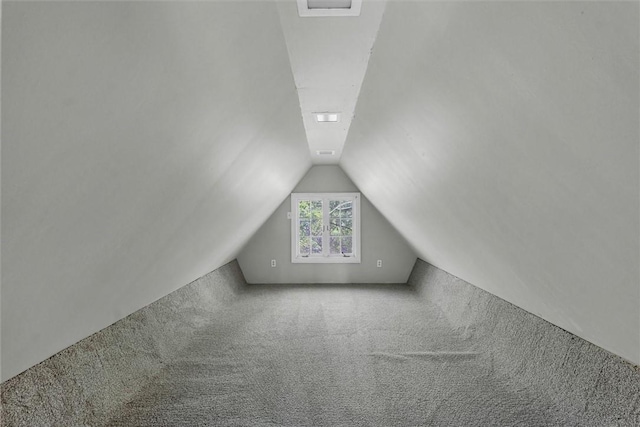 1655 N Vermilion St, Danville, IL 61832 - bonus room with carpet and vaulted ceiling