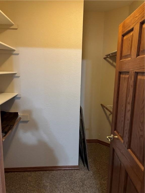 walk in closet featuring carpet flooring