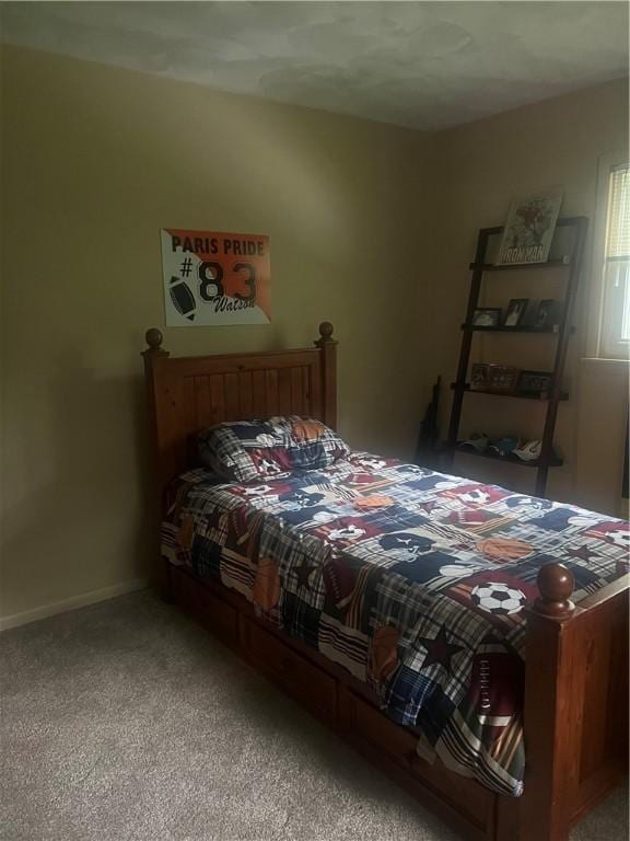 18 Woodmere Dr, Paris, IL 61944 - photo 15