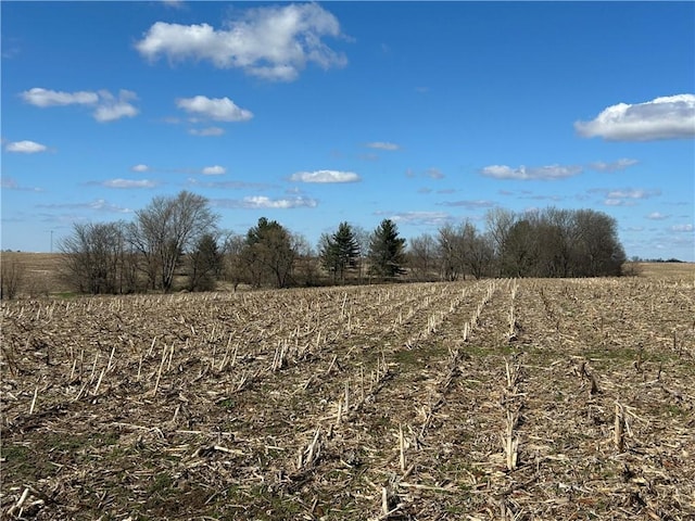 view of local wilderness with a rural view