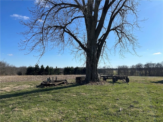 view of yard featuring a rural view