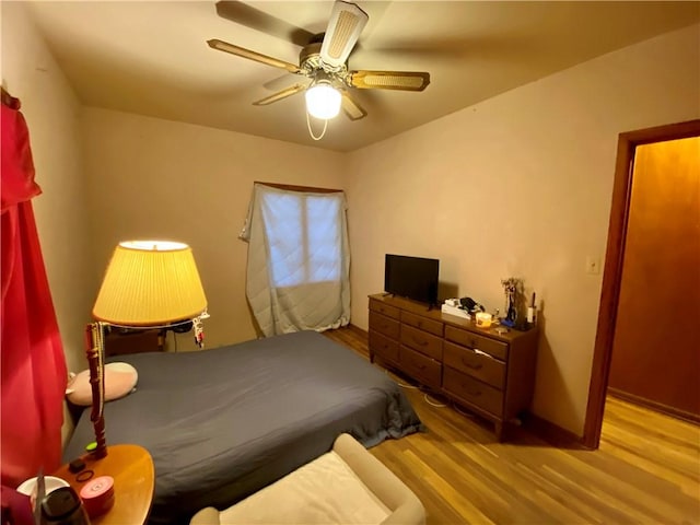 934 N Adams St, Mason, IL 62443 - photo 11
