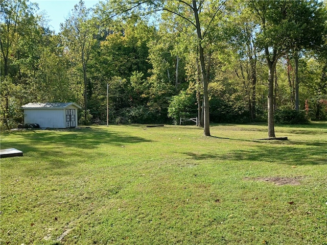 view of yard featuring a storage unit