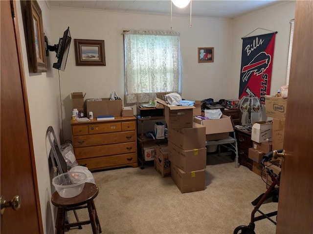 409 E Adams St, Paris, IL 61944 - home office featuring crown molding and light carpet