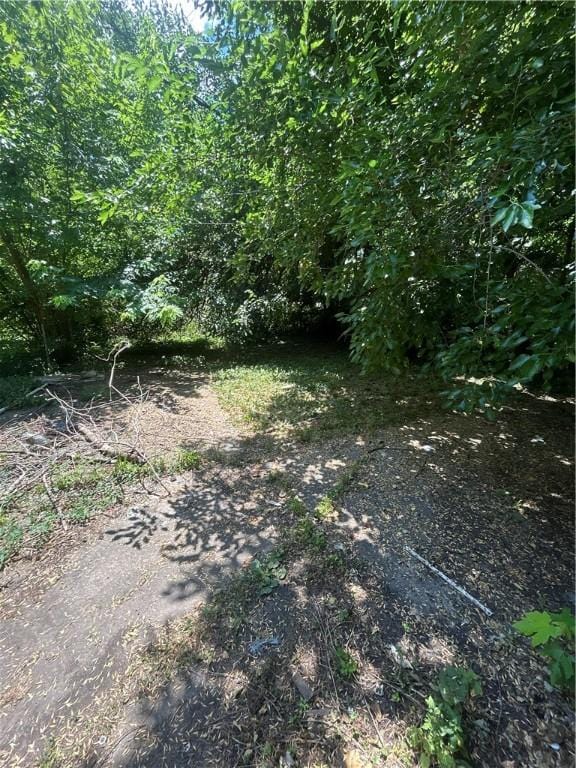 1159 Mueller Ave, Decatur, IL 62526 - view of local wilderness