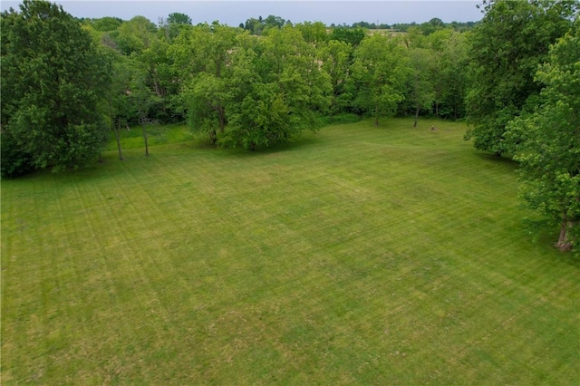 21823 N 1400 E Rd, Danville, IL 61834 - photo 12