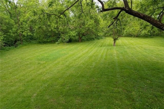 21823 N 1400 E Rd, Danville, IL 61834 - photo 10