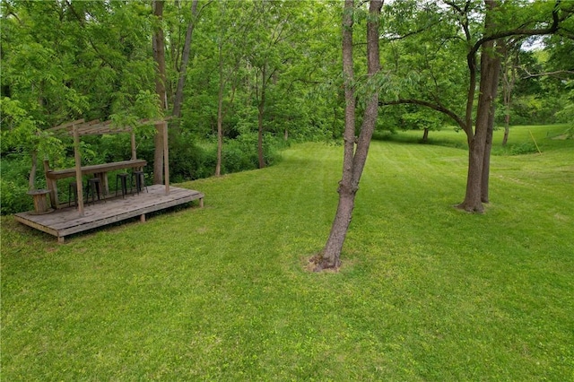 21823 N 1400 E Rd, Danville, IL 61834 - photo 11