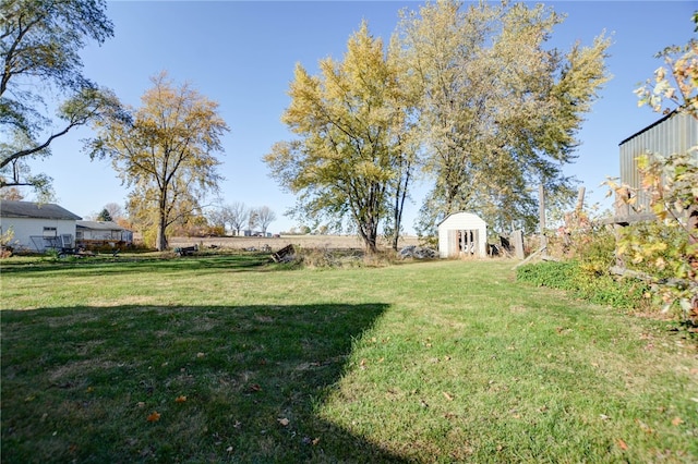 view of yard featuring a storage unit