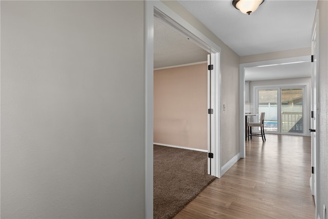 hallway with light hardwood / wood-style flooring and crown molding