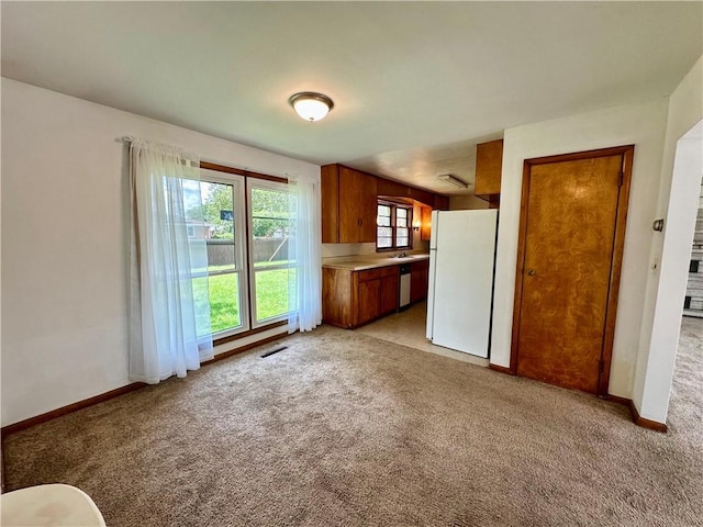 1321 Rudy Ave, Mattoon, IL 61938 - unfurnished living room featuring light carpet