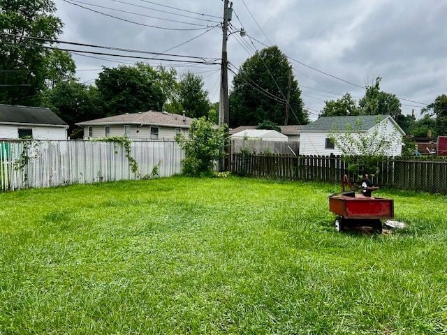 1107 James St, Danville, IL 61832 - photo 11