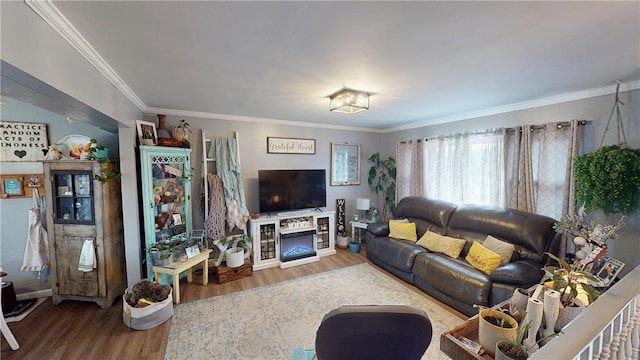 living room featuring wood-type flooring and ornamental molding