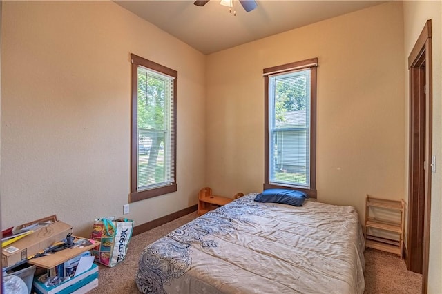820 S Main St, Sullivan, IL 61951 - photo 8