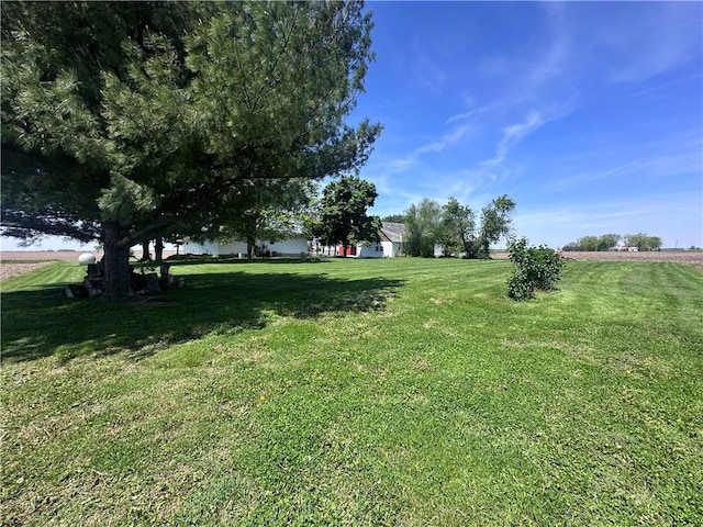 view of green lawn