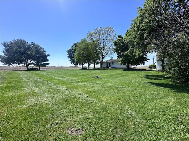 view of green lawn