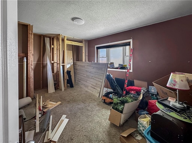 misc room with a textured ceiling and carpet floors