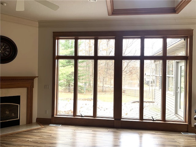 entryway with a raised ceiling, ceiling fan, plenty of natural light, and light wood-type flooring