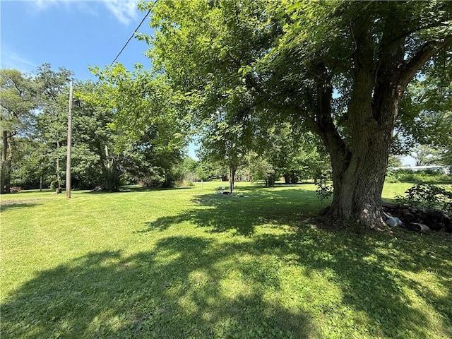 12948 158th St, Brocton, IL 61917 - photo 9