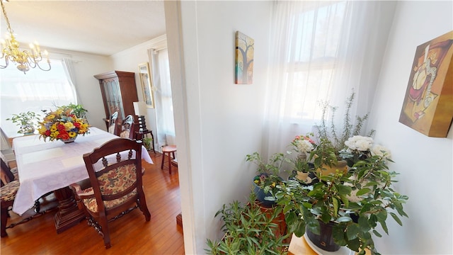 dining area with crown molding, a notable chandelier, and wood finished floors