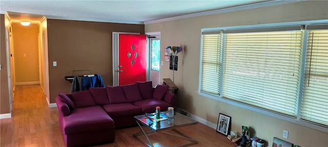 living room featuring crown molding and wood-type flooring