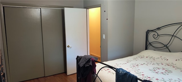 bedroom featuring a closet and dark wood-type flooring