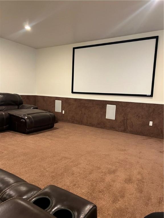 cinema room with carpet floors