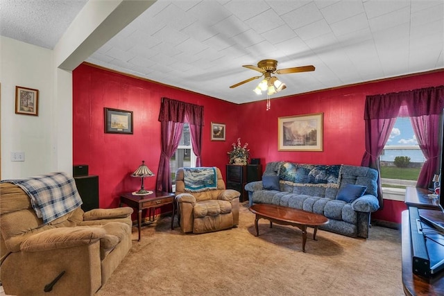 307 W Yates St, Newman, IL 61942 - photo 9