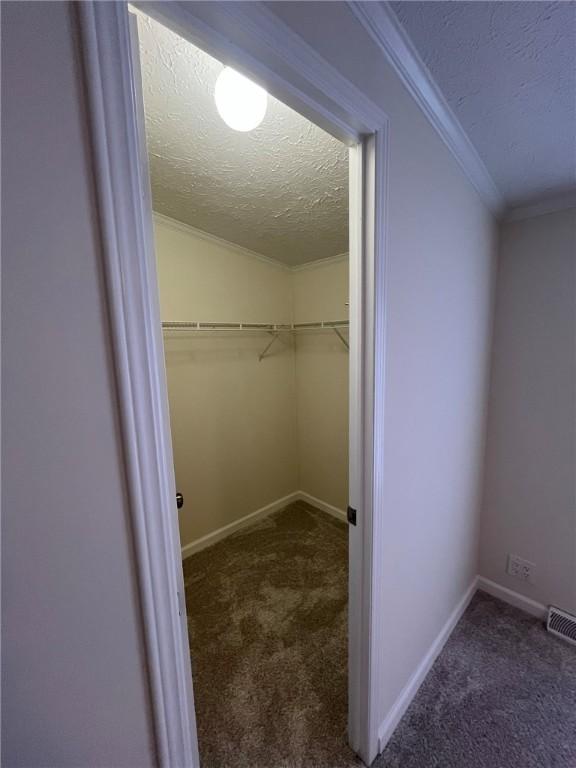 spacious closet with carpet floors and visible vents