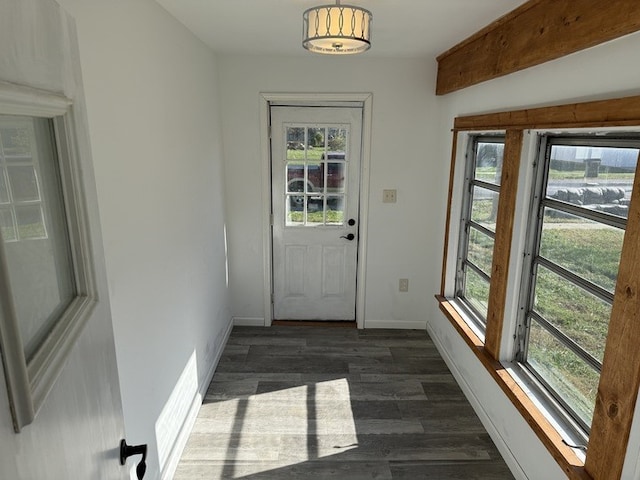 doorway featuring dark hardwood / wood-style floors and a healthy amount of sunlight