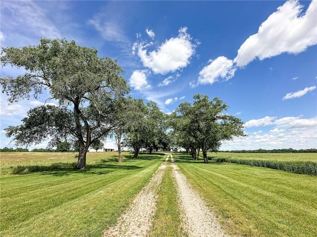 16781 E 1600th Ave, Palestine, IL 62451 - view of dirt / gravel road with a rural view
