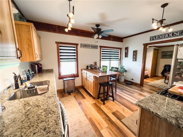 16781 E 1600th Ave, Palestine, IL 62451 - kitchen featuring light wood-style flooring, ceiling fan, a sink, and baseboards