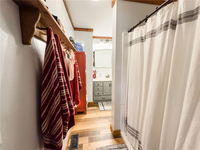 16781 E 1600th Ave, Palestine, IL 62451 - bathroom with wood finished floors, vanity, and a shower with curtain