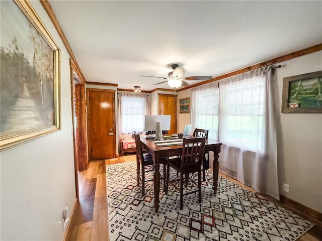 16781 E 1600th Ave, Palestine, IL 62451 - dining room with light wood-type flooring, a ceiling fan, an office area, and baseboards