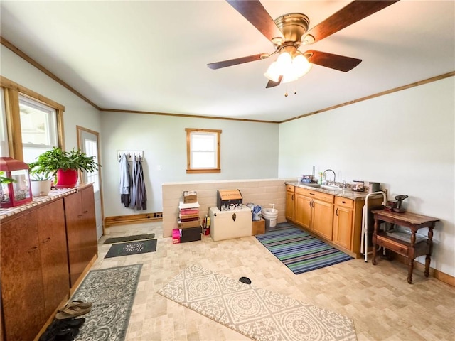 16781 E 1600th Ave, Palestine, IL 62451 - rec room featuring ornamental molding, ceiling fan, baseboards, and a sink
