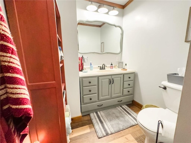 16781 E 1600th Ave, Palestine, IL 62451 - bathroom with toilet, vanity, and wood finished floors