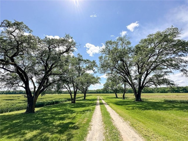 16781 E 1600th Ave, Palestine, IL 62451 - view of dirt / gravel road with a view of rural / pastoral area