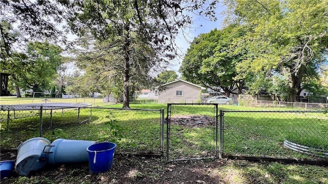 309 N Monroe St, Cerro Gordo, IL 61818 - view of yard with a trampoline and a gate
