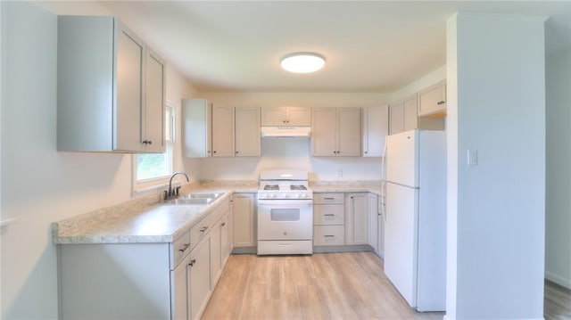 1302 Clement Ave, Forsyth, IL 62535 - kitchen featuring white appliances, a sink, under cabinet range hood, light wood-style flooring, and light countertops