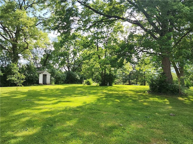 89 Pifers Ln, Sullivan, IL 61951 - view of green lawn with a storage unit
