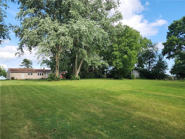 89 Pifers Ln, Sullivan, IL 61951 - view of green lawn