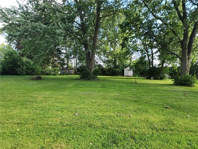 89 Pifers Ln, Sullivan, IL 61951 - view of grassy yard with a shed