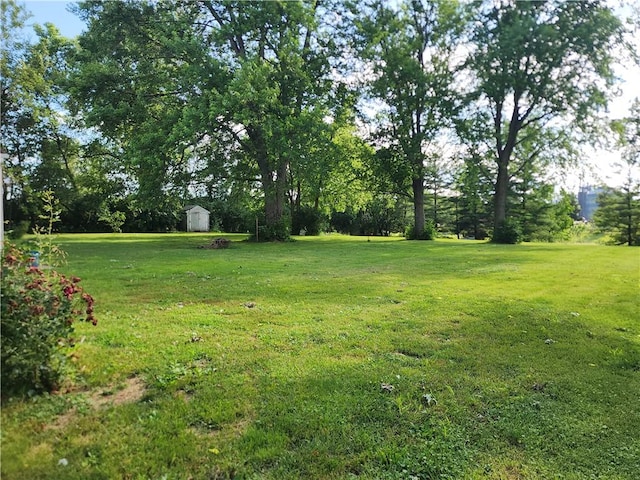 89 Pifers Ln, Sullivan, IL 61951 - view of green lawn featuring a storage unit