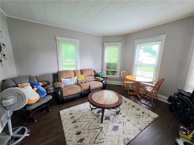 403 11th St, Georgetown, IL 61846 - living room with ornamental molding, dark wood-style flooring, and baseboards