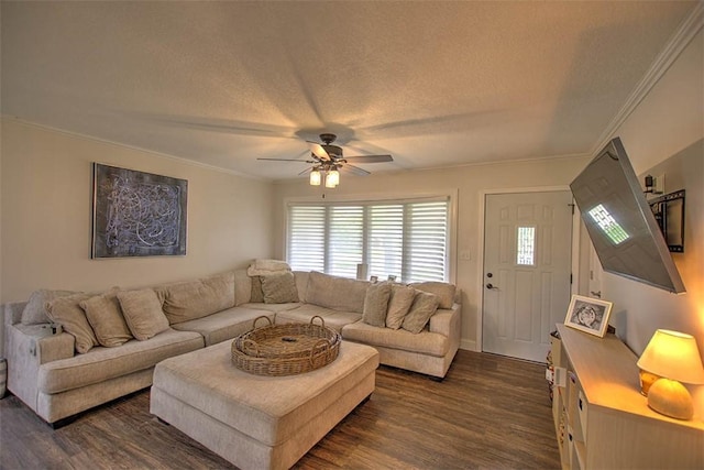 5354 N Macarthur Rd, Forsyth, IL 62535 - living room featuring dark wood finished floors, healthy amount of natural light, ceiling fan, crown molding, and a textured ceiling