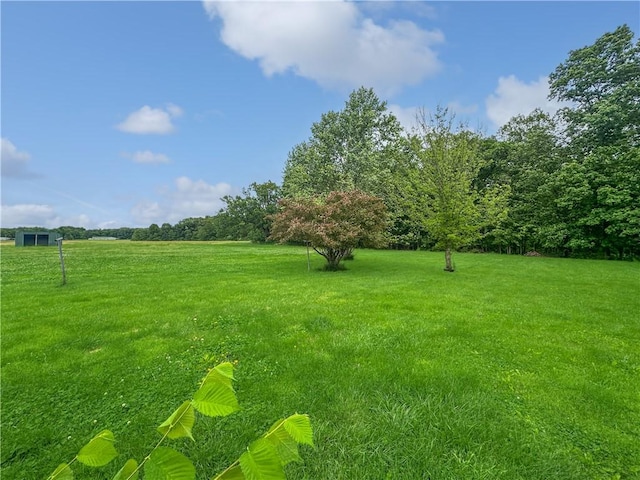 2145 E 1500 N Rd, Shelbyville, IL 62565 - view of green lawn