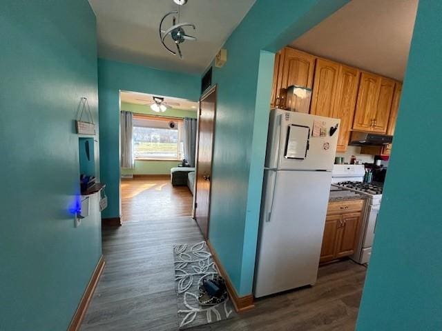 corridor featuring dark hardwood / wood-style flooring