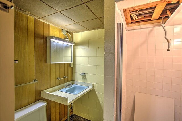 2631 Gregory Ct, Decatur, IL 62526 - bathroom featuring toilet, a sink, and concrete block wall